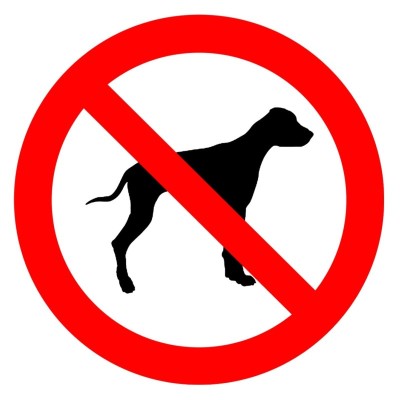 10 x Signalétique adhésive - chiens interdits