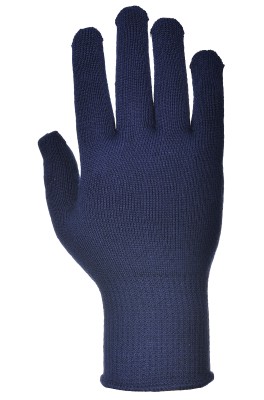 GANTS THERMOLITE BLEU - A115NARXL - T10